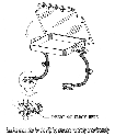 line drawing of 3100 wheelchair mount