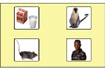 image of teach me nouns overlay