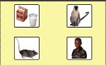 image of Overlay for Teach Me Nouns: Medial Sounds program