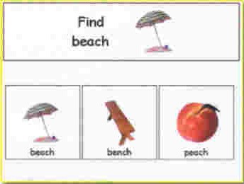 Teach Me Nouns- Final Sounds: Testing Module Example