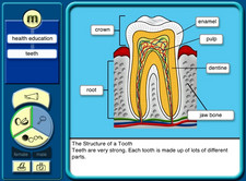 Bodywise anatomy software screen shot