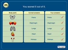 Bodywise anatomy software screen shot