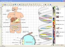 science diagrams screen shot