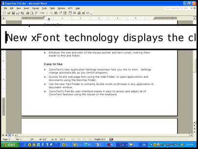 image of Microsoft Word: Line zoom at 4x