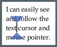 image of ZoomText cursor enhancements