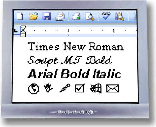 image of magnification of standard monitor
