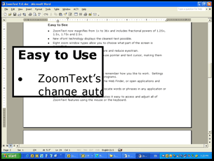 image of Zoom Windows lens view